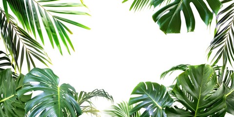 Wall Mural - lush green jungle with palm trees and leaves. the image is a beautiful and serene representation of 