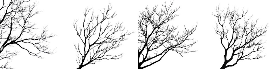 bare twisted branches of dark monochrome trees silhouetted against a stark minimalist winter landsca