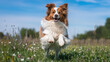 © Ai Studio - happy dog running through field of flowers, showcasing its playful spirit and furry coat. bright blue sky adds to joyful atmosphere