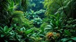 © Nasnunt - Lush green rainforest with vibrant foliage and diverse plant life, exploration, lush