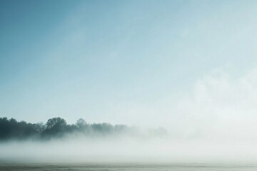 Wall Mural - A thick fog blankets a field with a line of trees in the distance, bathed in soft morning light.