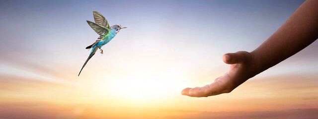 Wall Mural - a bird is flying over the hand of a child against the sunset