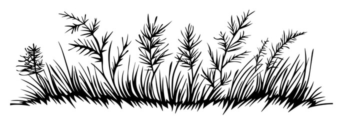 Wall Mural - nature-inspired sketch of wild grass and flowers in hand-drawn black vector