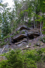 giant stones in a forest with dry trees