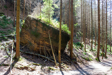 giant stones in a forest with dry trees