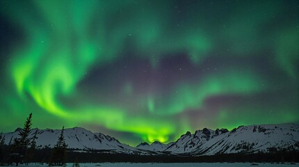 Wall Mural - northern lights above snow trees. winter landscape with mountains and forest. aurora borealis with s