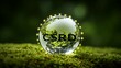 © Henhen - Crystal globe with 'CSRD' text on moss, signifying corporate social responsibility with a global focus.