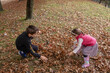 © AAlves - Two joyful children play in a park on an autumn afternoon, tossing dry leaves in the air, surrounded by vibrant trees, capturing the essence of childhood happiness and seasonal beauty.