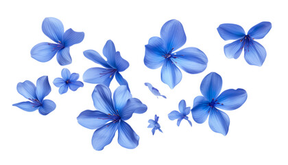 Wall Mural - flying blue petals isolated on transparent background cutout