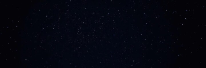Wall Mural - Dark canvas of night sky with scattered stars twinkling in shades of blue and white on a deep black background, space, starry sky
