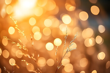 Wall Mural - gold backgrounds outdoors light.