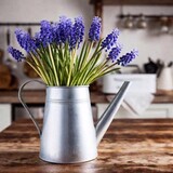 Still life with grape hyacinths arranged in an antique watering can with old moulds on a rustic wooden kitchen table