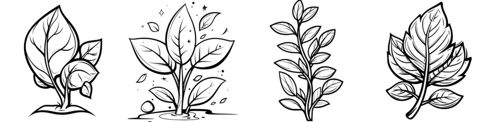 Black and white line art drawing of a leaf.