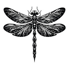 dragonfly vector on white background