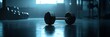 © olga_demina - Heavy black dumbbell lies on the polished floor of a dimly lit gym, suggesting a recently completed workout session, with other weights blurred in the background