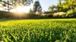© AbstractAI - Well manicured grass with a soft focus spring backdrop Low angle perspective