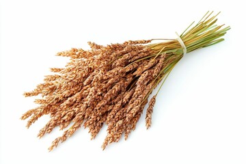 Wall Mural - Wheat stalks tied together on a white background.