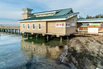 Wall Mural - Shoreline And Pier