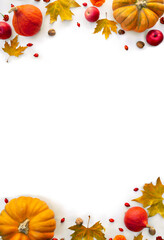 Wall Mural - pumpkin, acorns, red berries, apples and autumnal colorful maple leaves on a white background with s