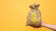 © abdul - Female hand holding a bag of money on solid yellow background