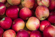 © Samir - 'Close-up of fresh red apples. Ideal for themes on fruit, seasonal produce, and a healthy lifestyle.'