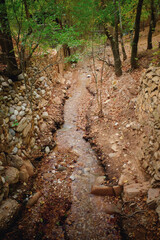 Wall Mural - Serene Stream in a Rocky Forest