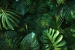 © Isuru - monstera leaves summer minimal background