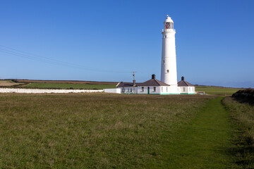 Wall Mural - lighthouse on the coast