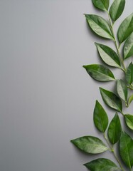 Wall Mural - Green leaves on gray background