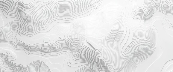 Background with white gray topographic lines, grid map, white wave paper curved reliefs abstract background, 3D waves, modern illustration.