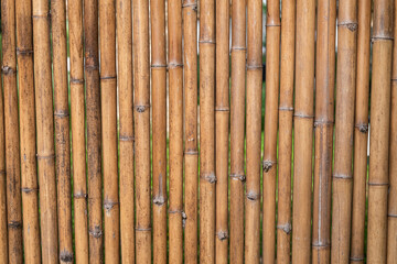 Wall Mural - Wood bamboo background texture, abstract, nature background