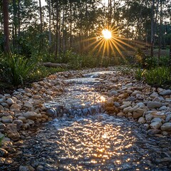 Sticker - Sunlit Stream in a Tranquil Forest.