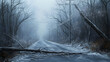 © Vicky - snow storm icy road  forest ice trees power lines broken branches fallen landscape cold frost blizzard adverse weather climate change nature winter s
