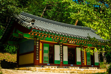 Korean temple surrounded by trees in a mountain