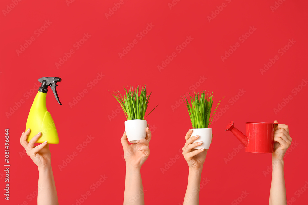 Female hands with potted plants, watering cans and sprayer on red background