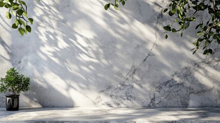 Poster - Minimalist concrete wall with leafy branches, shadows, and empty shelf.