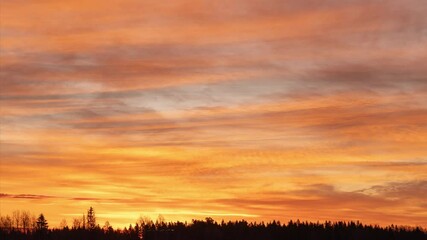 Wall Mural - very colourfull sky and clouds over forest at sunrise. southern norway, timelapse video