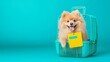 © patpongstock - pet travel  vacation  road trip concept. A fluffy Pomeranian dog happily sits inside a teal pet carrier with a yellow tag, set against a bright turquoise background.