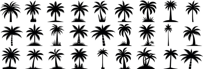 Wall Mural - palm tree silhouette vector collection. tropical landscape elements ideal palm tree for exotic desig