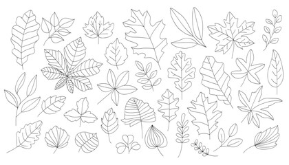 Wall Mural - autumn leaves vector drawing.vector illustration