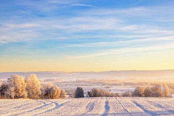 Wall Mural - Scenic view at a valley with mist a cold  sunny winter day