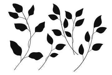 Wall Mural - silhouette leaves branch and floral plants element collection.vector illustration