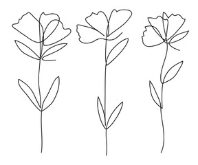 Poster - Single line art vector flower illustration collection.