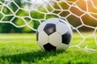 © Trionorejo - A soccer ball resting on a green field with a goal net in the background. The sun shines through the net, casting a soft glow.