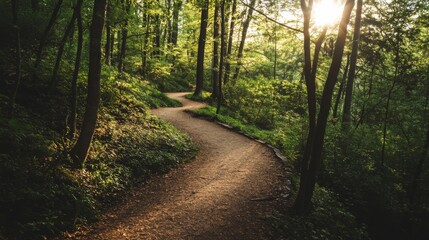 Poster - A picturesque outdoor hiking trail with winding paths, dense forest, and sunlight filtering through the trees