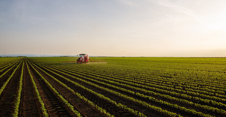 Tractor spraying soybean crops field