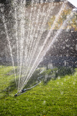 Wall Mural - watering green grass in summer