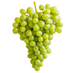 a cluster of fresh green grapes dangles, showcasing round, juicy fruits glistening in the light