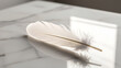 © PanoramaStudio - A single white feather lies on a smooth, white marble surface, illuminated by soft sunlight.
