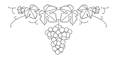 Wall Mural - Bunch of grapes. Vine. Vector line drawing on white or transparent background. Grapevine. Seamless grape border. Decorative border. Symmetric.